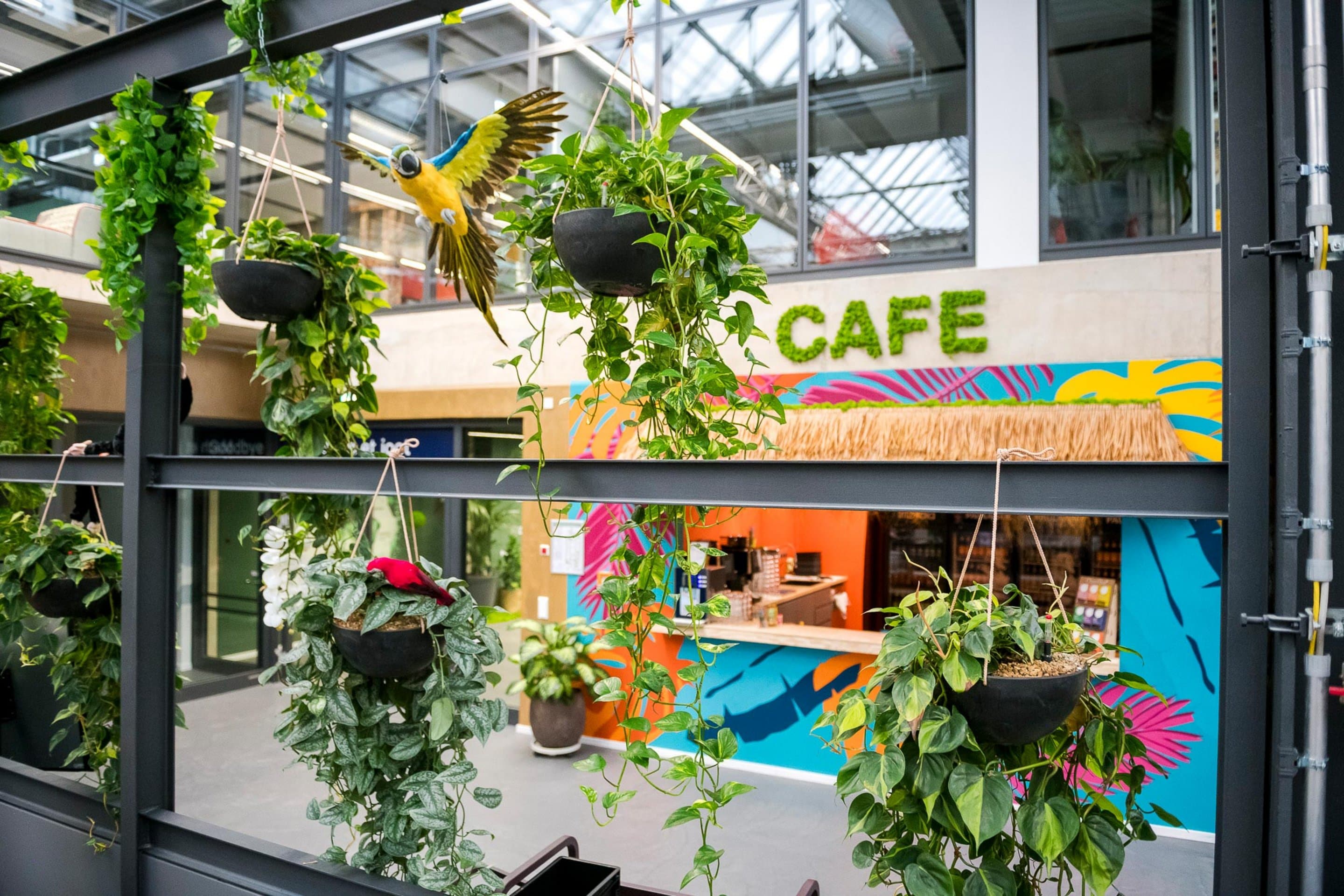 Symbolfoto für den Referenzkunden smartvillage Blumean- und Pflanzenampeln hängen fon einem Gerüst herab, im Hintergrund eine bunte Geschäftsfront.