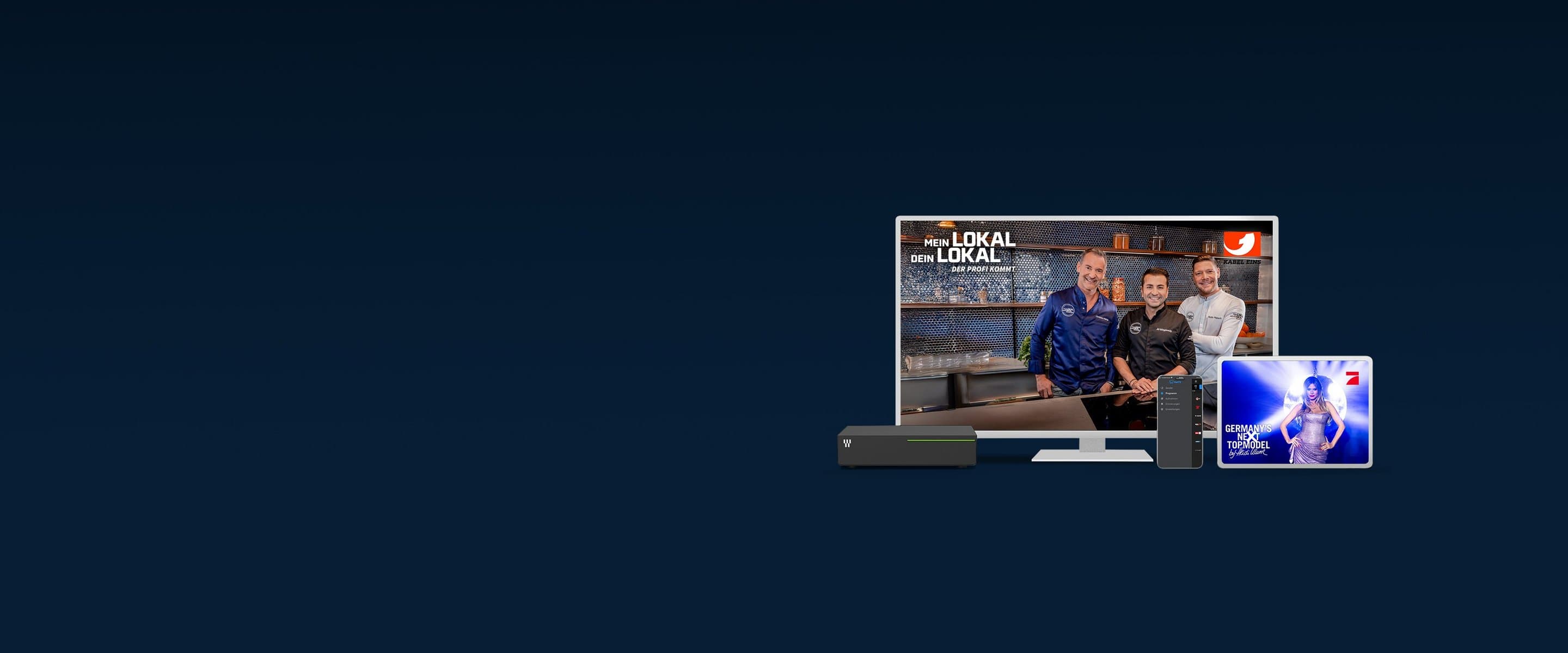 NetTV über Internet